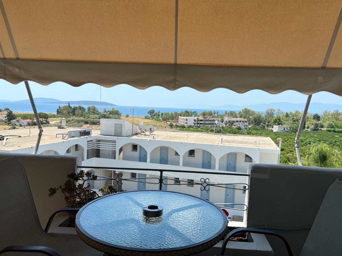 Apartment Alexandros *