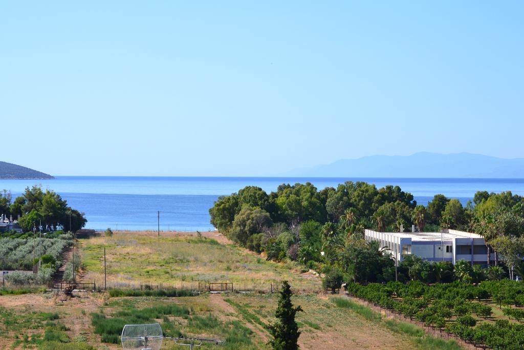 Alexandros Appartement