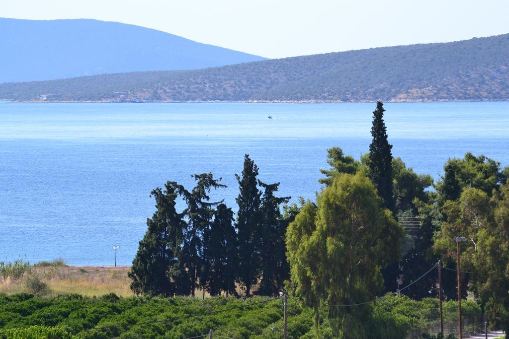 Alexandros Appartement *