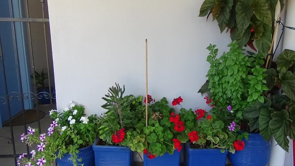 Appartement Alexandros