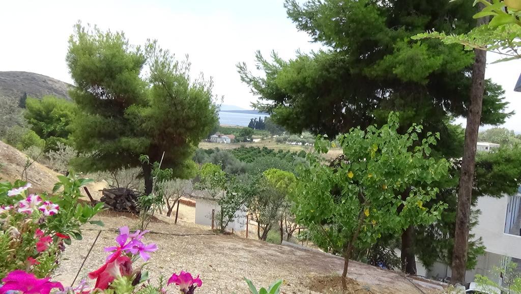 Alexandros * Drepano (Argolis)
